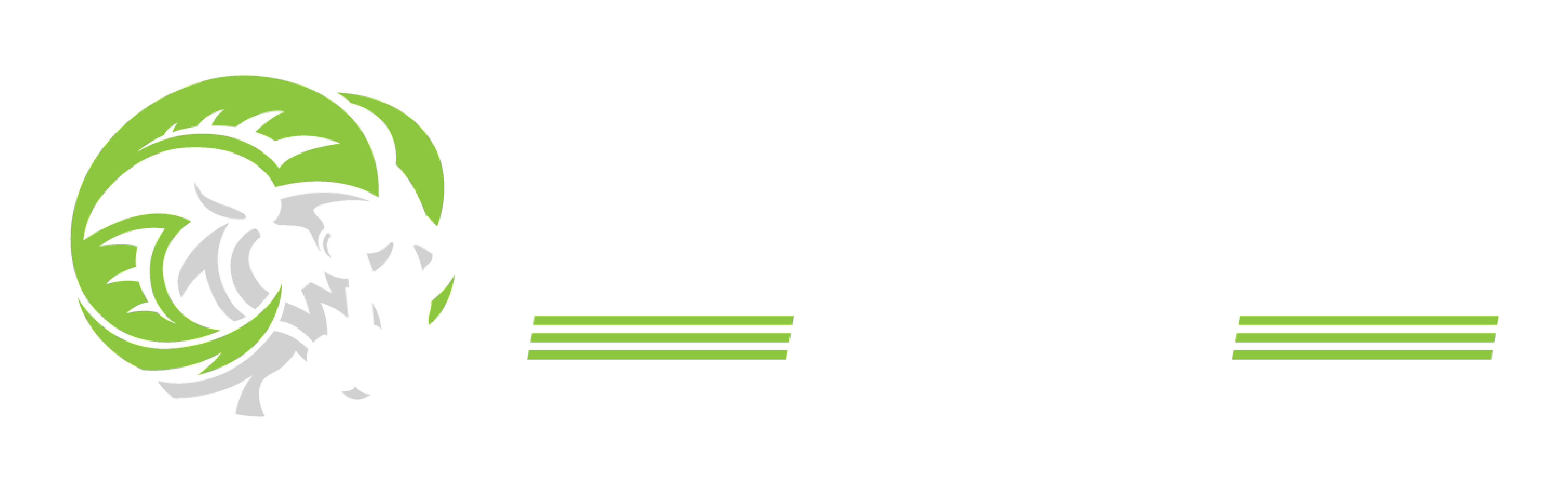 Techno Solution